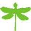 dragonflywebsolutions.com