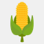 mrcorn.ca