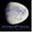 scorpioandmoon.com