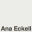 eckell.com