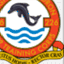 blog.brightonaircadets.com