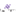 scriberegistrars.com