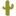 cactusflower.be