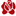 blumen-leckron.de