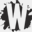 webcreart.com