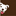 stubbydog.org