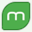 mintellity.com