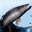 gofishing3d.com