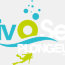 divosea.com