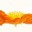 openingcreativity.wordpress.com