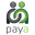 payaprofessional.co.uk
