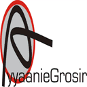 ayyaniegrosir.com