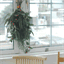 primadecor.com