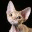 harizmadevonrex.com