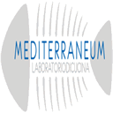 lnx.mediterraneumlab.it