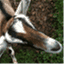makemyhay.com