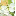 donnawalsh.com