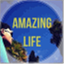 amazingislife.com