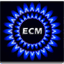 ecmresourcesinc.com