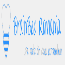 romanianbrainbee.com