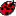 beetle.ecsdev.net