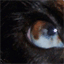 chrisfarrel.weebly.com