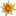 platonicacademy.com