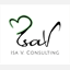 isavconsulting.com
