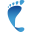 deepfootprint.com