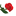 redrosetea.com