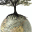 jorgequestforknowledge.wordpress.com