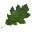 muddybranch.org