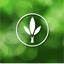 nutricestas.com
