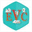 evc.ae