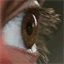 lewpblog.com