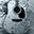 onewildtribe.com