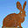 delawarerabbitry.com