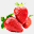 fermebourdages.com