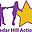 cedarhillactionteam.org