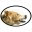 boraggregate.ca