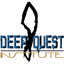 deepquest.institute