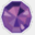 dragoncitygemas.net