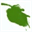 puresbio.com