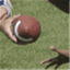 insidehandoff.com