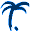 palmcam.de