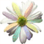 paintedpathdesigns.com