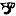 phasmidstudygroup.org
