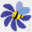 luciole.ch