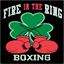 fireinthering.com