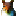 thesquirrelboard.com